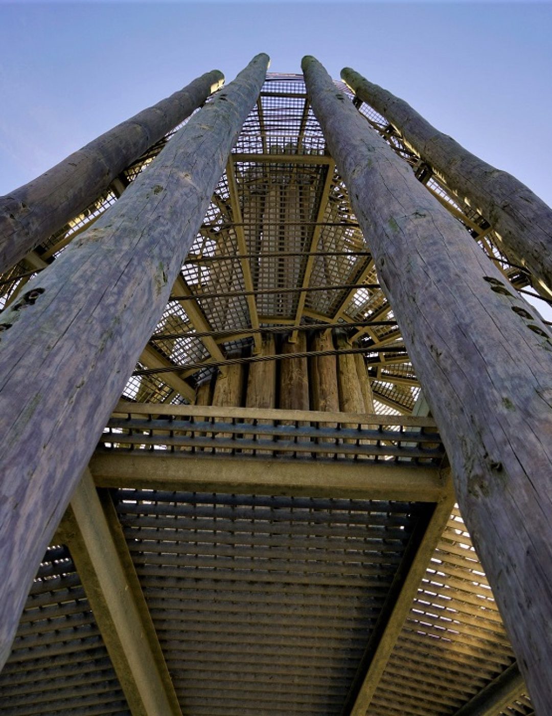 torre observacao panormaica belinho_ (3)